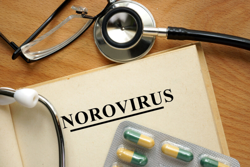 Norovirus - hoch ansteckende Infektionskrankheit