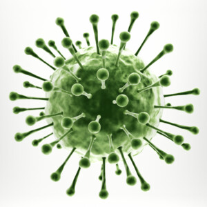 Abbildung vom Grippe-Virus