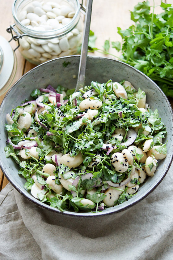 Weiße-Bohnen-Salat mit Petersilie und Tahin - medizinfuchs Blog