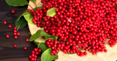 Die neuen Superfood-Beeren: Berberitzen und Schisandra-Beere