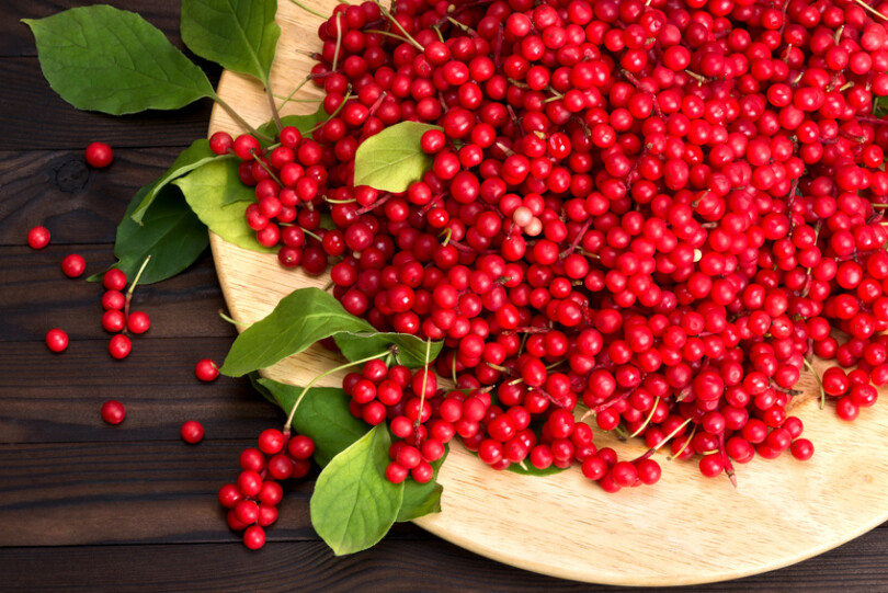 Die neuen Superfood-Beeren: Berberitzen und Schisandra-Beere