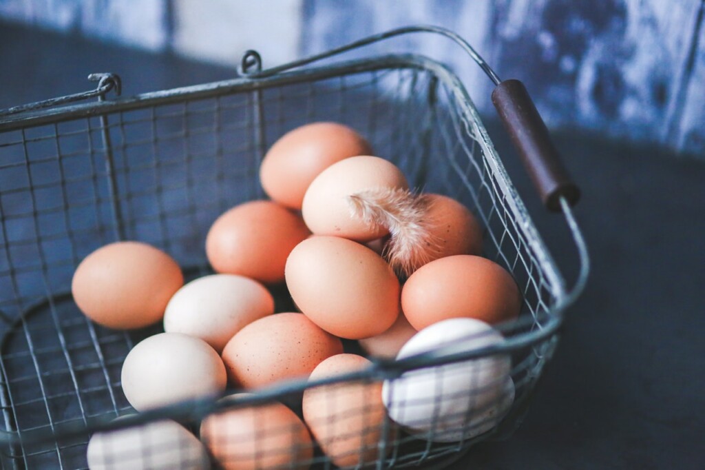 Eier, Proteinlieferanten die nicht teuer sind