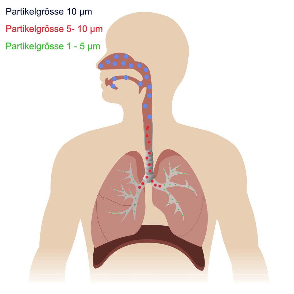 Partikelgröße des Wirkstoffs ist für die Inhalationstherapie